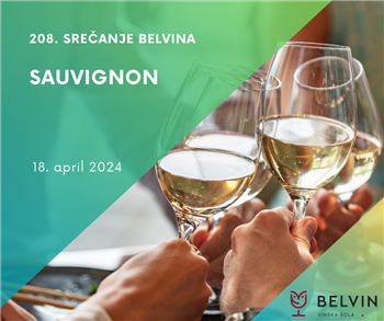 208. srečanje Belvina - Sauvignon