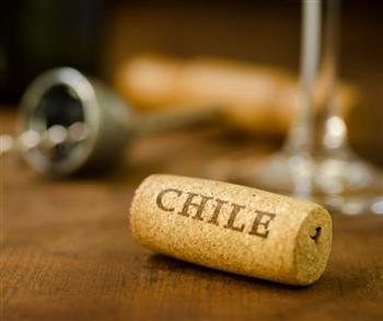199. srečanje Belvina - Čile